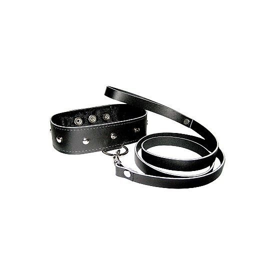 CORREA Y COLLAR DE CUERO