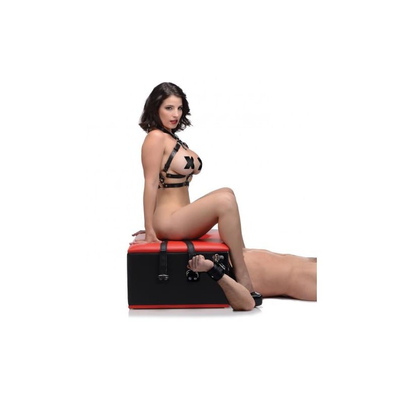SILLA PARA SEXO ORAL CON RESTRICCIONES