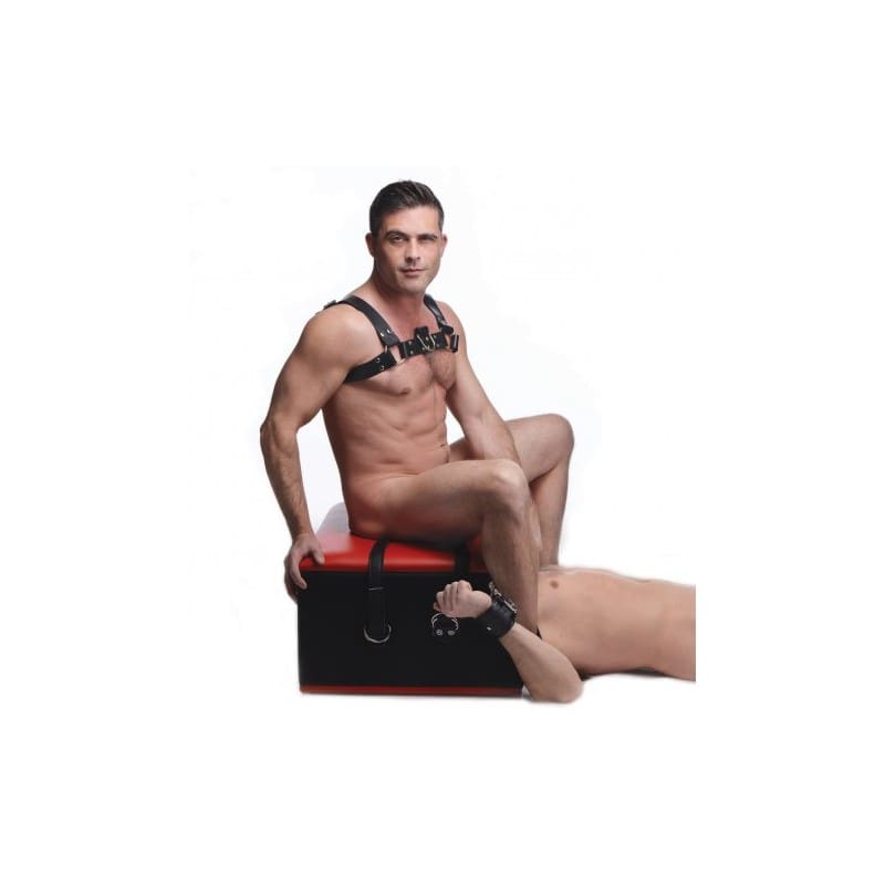 SILLA PARA SEXO ORAL CON RESTRICCIONES