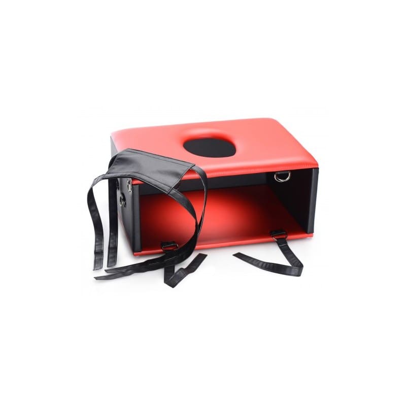 SILLA PARA SEXO ORAL CON RESTRICCIONES