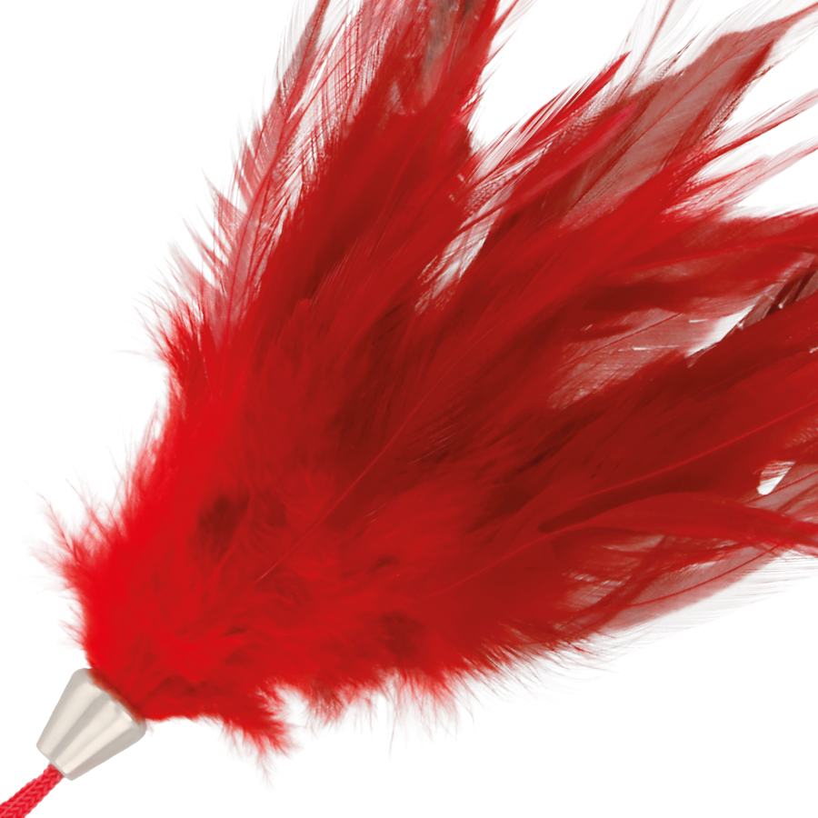 DARKNESS PLUMA ESTIMULADORA ROJO 17 CM